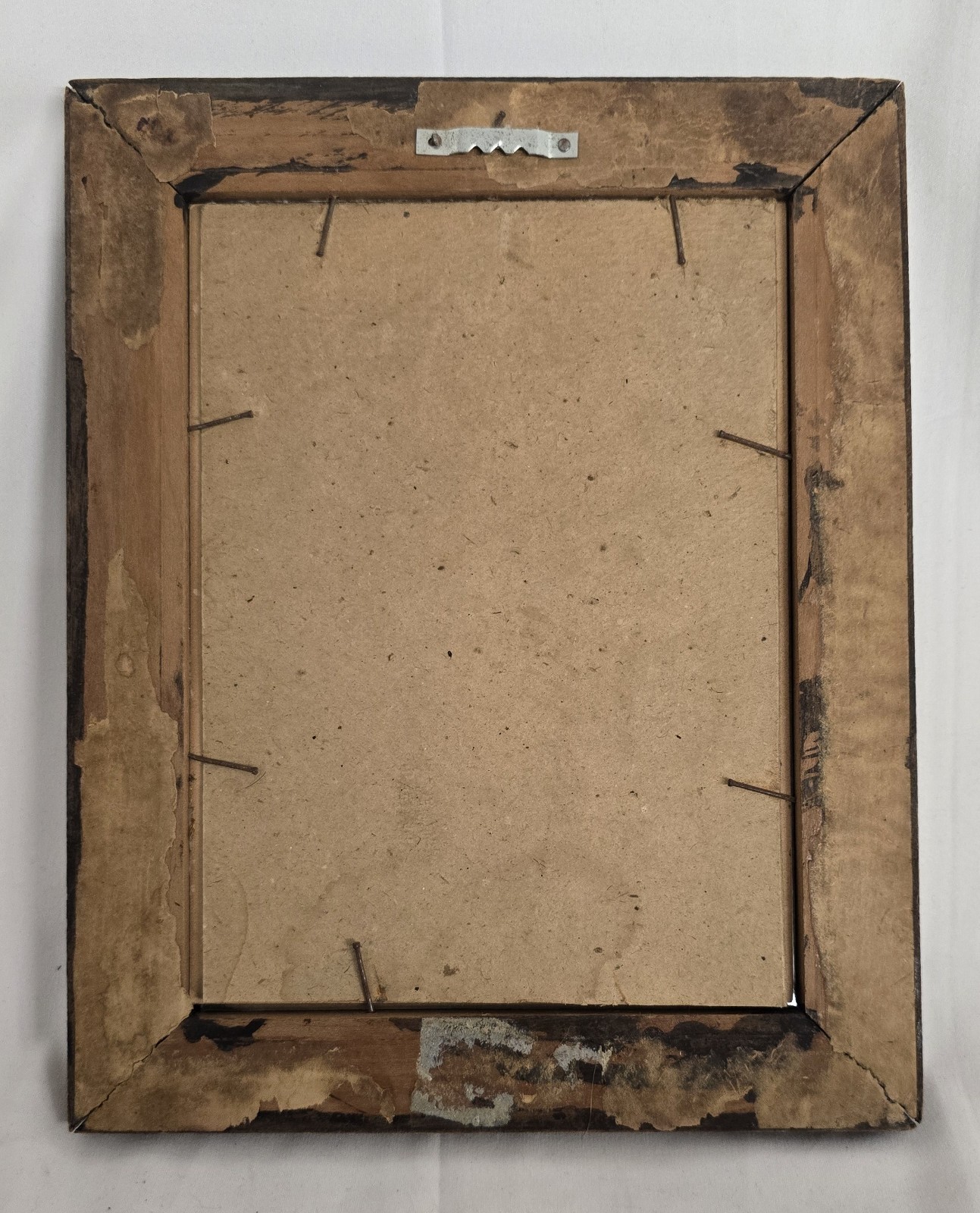 Scarce Antique UMC Hunting Dog Litho in Orig Belt Horseshoe  Frame Early 1900s