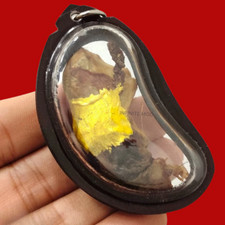 Gatto magico placenta potere ricchezza denaro fortuna talismani fortunati amuleto tailandese raro