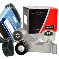 Meyle 6PK1743 Keilrippenriemen-Satz + Spanner FüR Tourneo Transit Ford