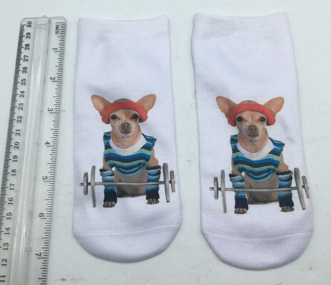 Girl Teen Socks Chihuahua Dog Weight Lifting Whimsical Read Size