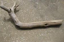 Driftwood Aquariums Woodworm Decorations Reptile Enclosure Free Shipping 615