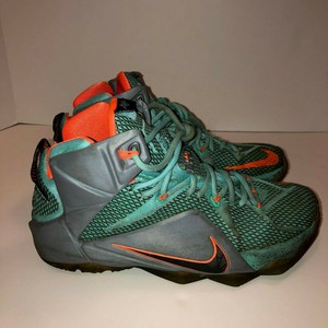 lebron 12 miami dolphins