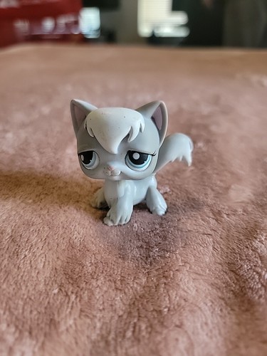 Authentic Littlest Pet Shop LPS #345 Grey White LONGHAIR KITTY CAT Blue Dot Eyes - 第 1/3 張圖片