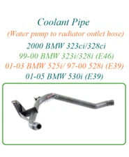 Coolant Pipe Water Pump to Radiator Outlet Hose Fit 99-00 BMW 323i 328i 01 525i