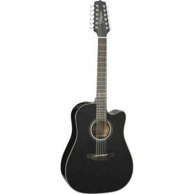Ctp 3 Takamine | eBay
