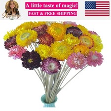 40 Pcs Natural Dried Daisies, Dried Daisy Flowers Bouquet with Stem for Weddi...