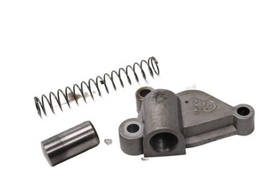 Steuerkettenspanner Ventiltrieb Spannvorrichtung Feder BMW R 1150 R R21 99-04