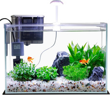 5 Gallon Glass Small Fish Tank with Filter Light and Lid, Betta Aquarium Starter
