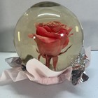 Forever ROSE/PINK In Glass Ball Water Dome Globe Large Real Rose 6x6 in.