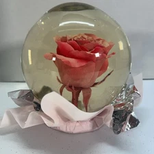 Forever ROSE/PINK In Glass Ball Water Dome Globe Large Real Rose 6x6 in.