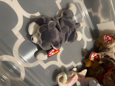 Ty Beanie Babies Nanook Husky Gray Dog Nov 1st 1996 Errors on tag and blue eyes