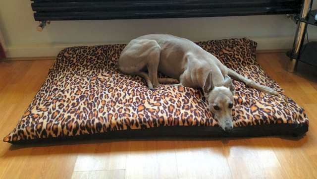 kosipet dog bed