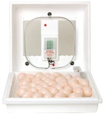 Little Giant 9500 Digital Still Air Incubator w/ LCD Display for 41 Eggs, White