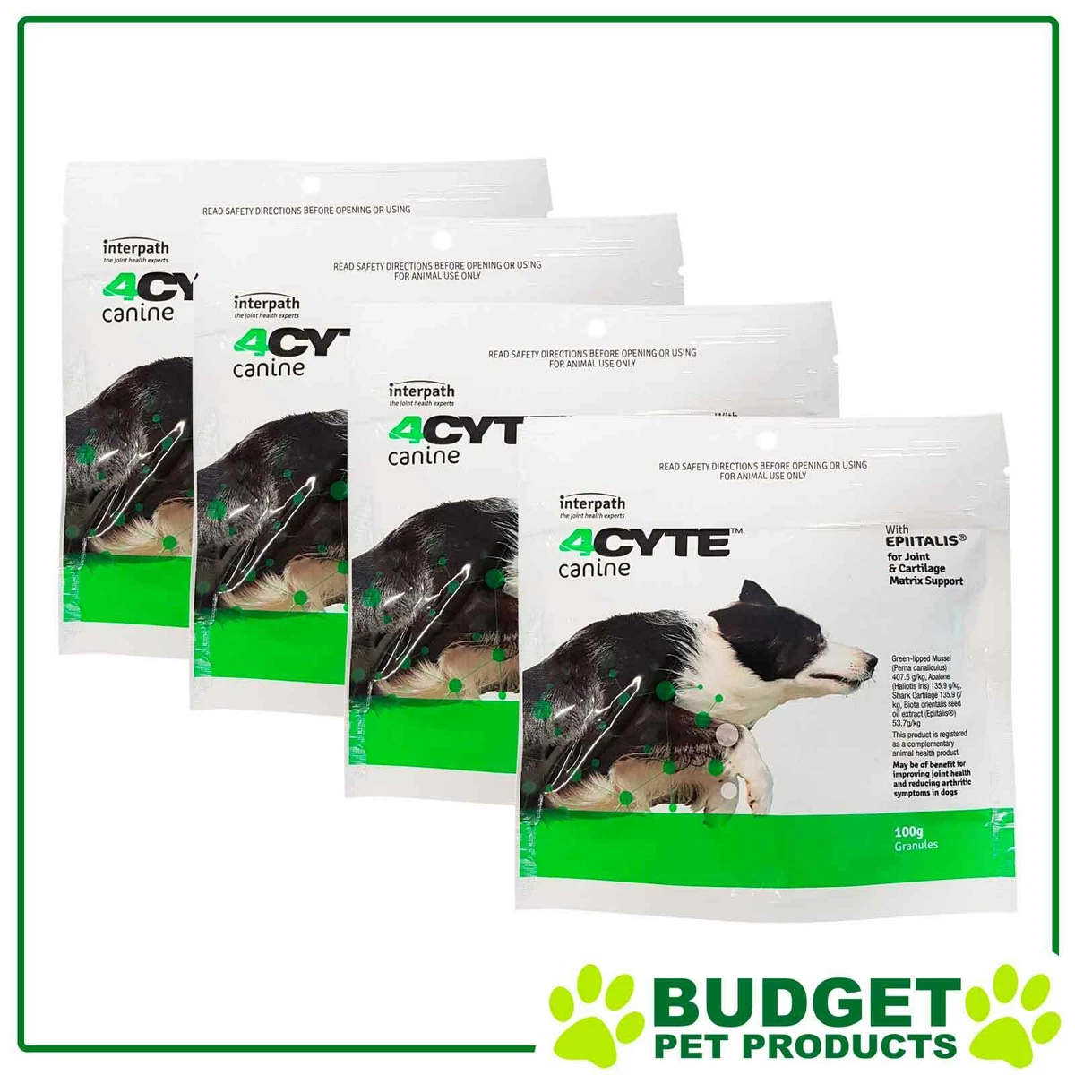 4cyte canine top