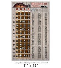 Mandolin Easy Chord  Fretboard Chart Poster 2020 Notes Beginner Chords