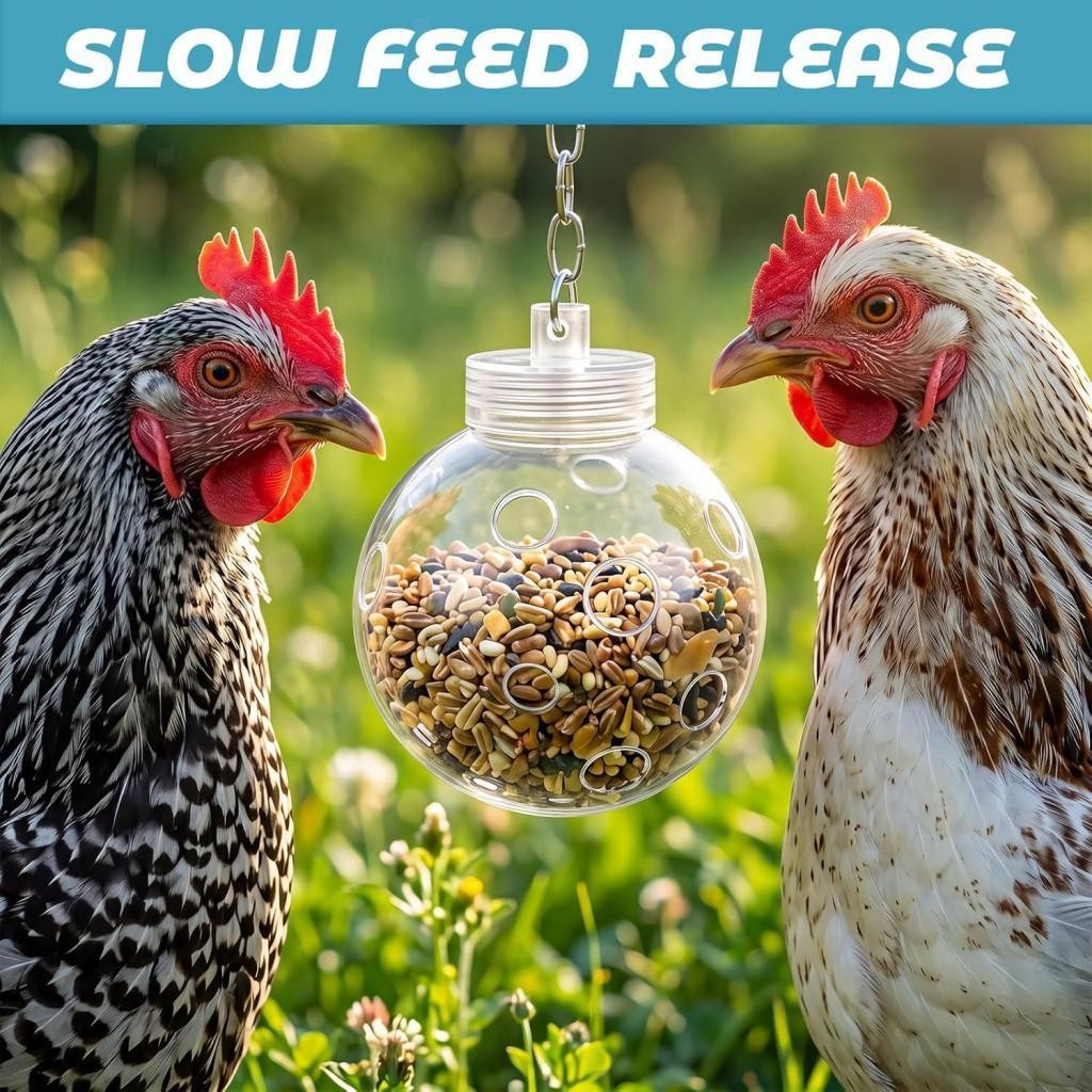 Hängende Geflügel Leckerli Spender Kugel mit Kette Slow Feed Spender einfaches Nachfüllen