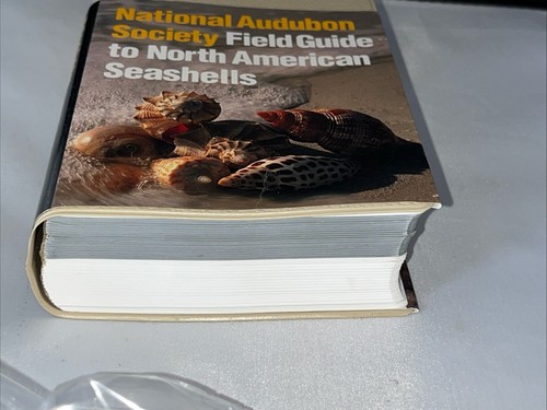 National Audubon Society Field Guide to North American Seashells 1981 - Picture 5 of 13
