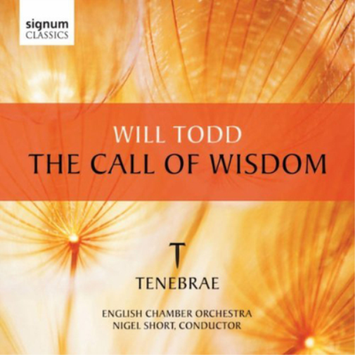 Will Todd Will Todd: The Call of Wisdom (CD) Album