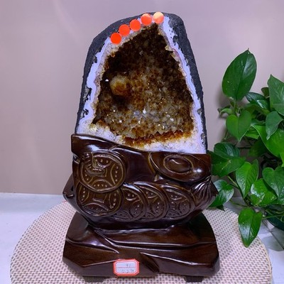 26LB Natural citrine Cluster quartz cluster crystal mineral specimen gift+base