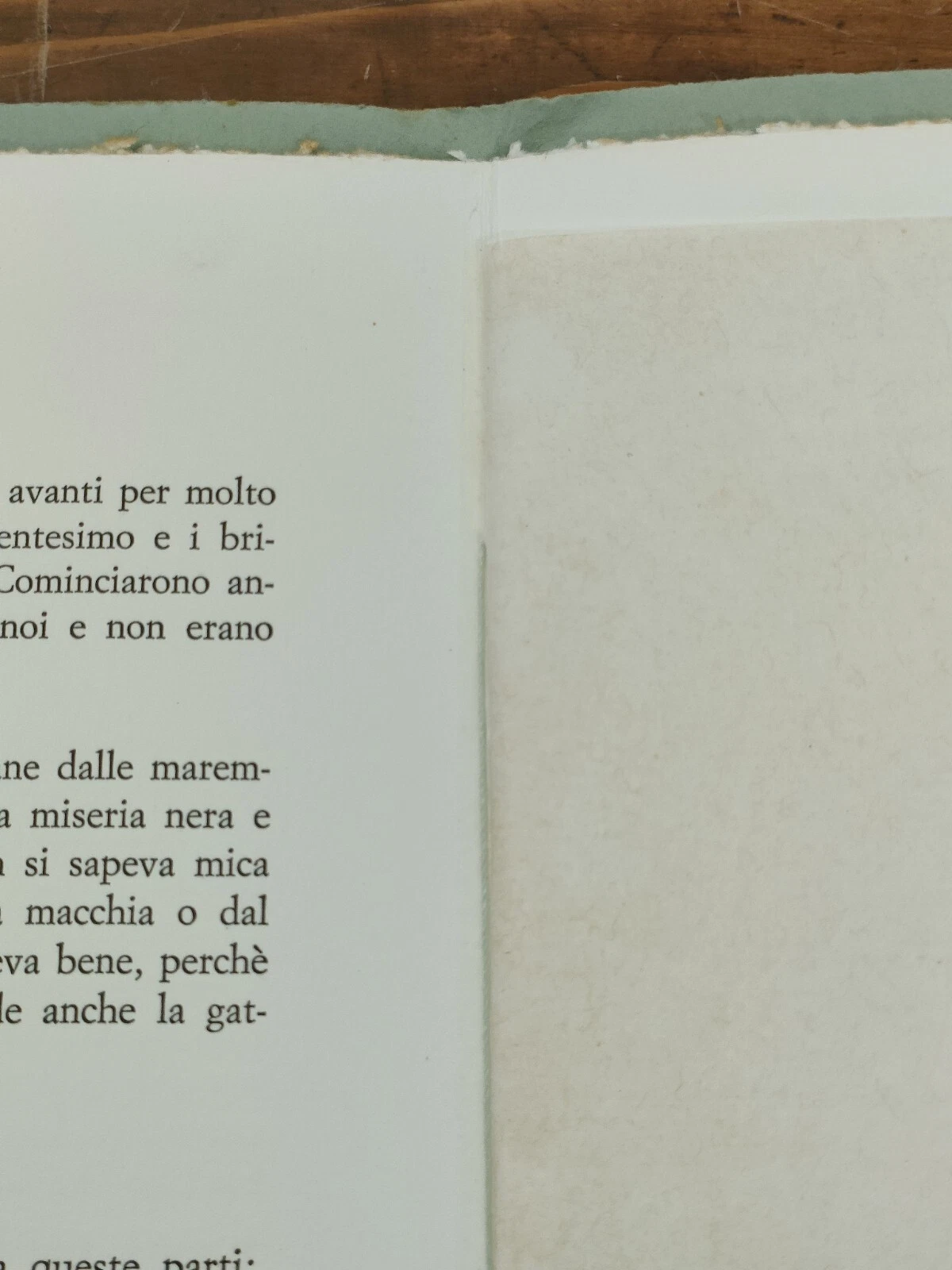 Foto 7 di 7