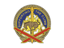 4" 10th sustainment brigade dui army bumper sticker decal usa made