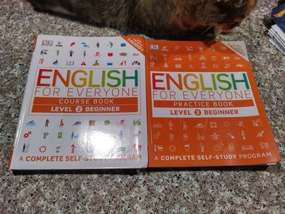 DK English For Everyone Course & Practice Book Level 2 ESL