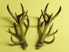 Cornes De Cerf Horloge Coucou Décor Chasse Chasseur