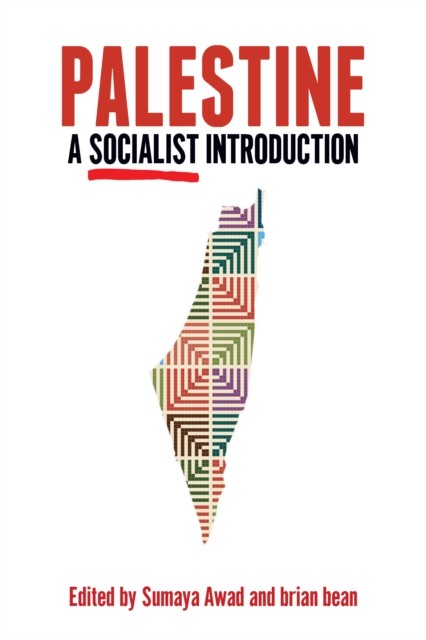 Palestine: a Socialist Introduction by brian bean (2020, Trade Paperback) - Image 4