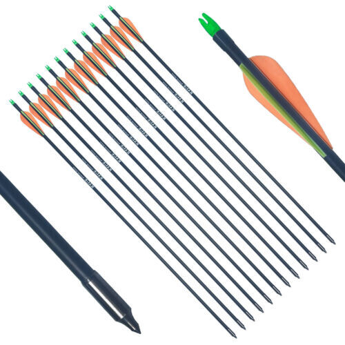 12PCS 31'' Fiberglass Arrows Put on Tips Avoid Crack Safe Compound Recurve Bow - Picture 2 of 8