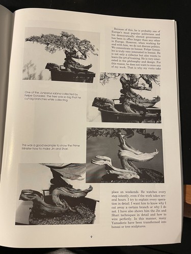 BONSAI MAGAZINE July/Aug 1995 Bonsai Clubs International - Picture 2 of 6