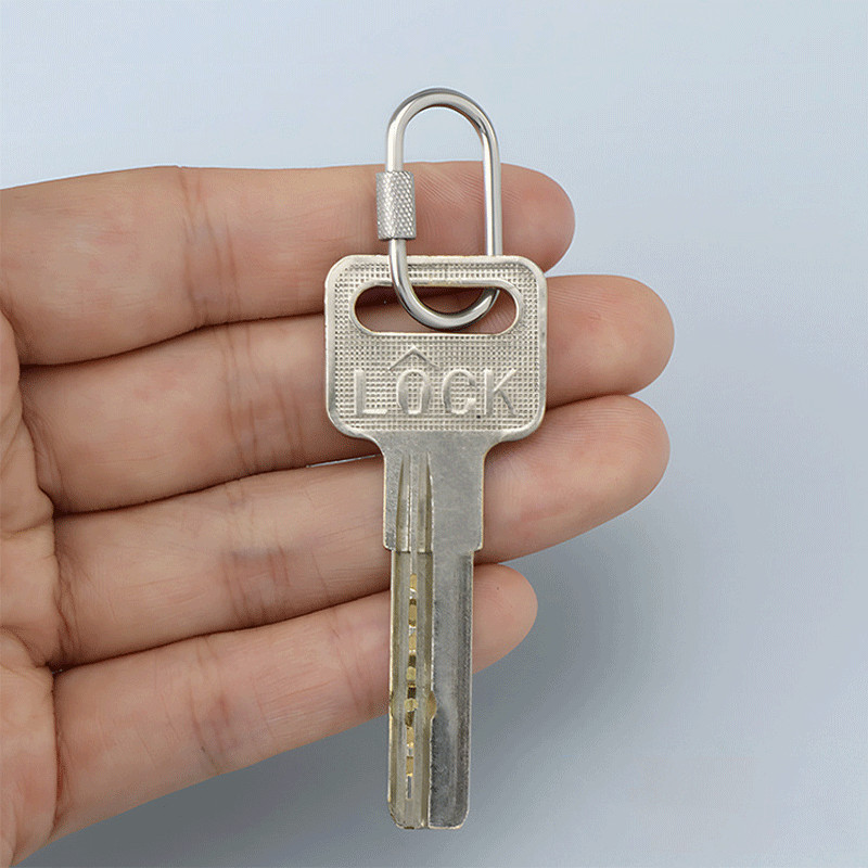 2pcs Mini Climbing Stainless Steel Screw Carabiner Lock Clasp Keychain Clip Hook