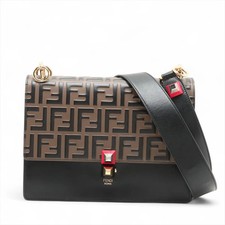 Fendi ZUCCa Kan I Leather 2 Way Shoulder Bag Brown x black 8BT283