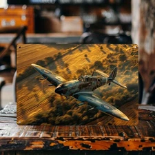 Historical Warbird WWII Fighter Plane Camouflage Round Metal Plate