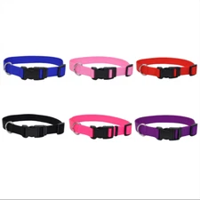 Coastal Adjustable Nylon Dog Collar with Plastic Buckle (Each Sold Separately)