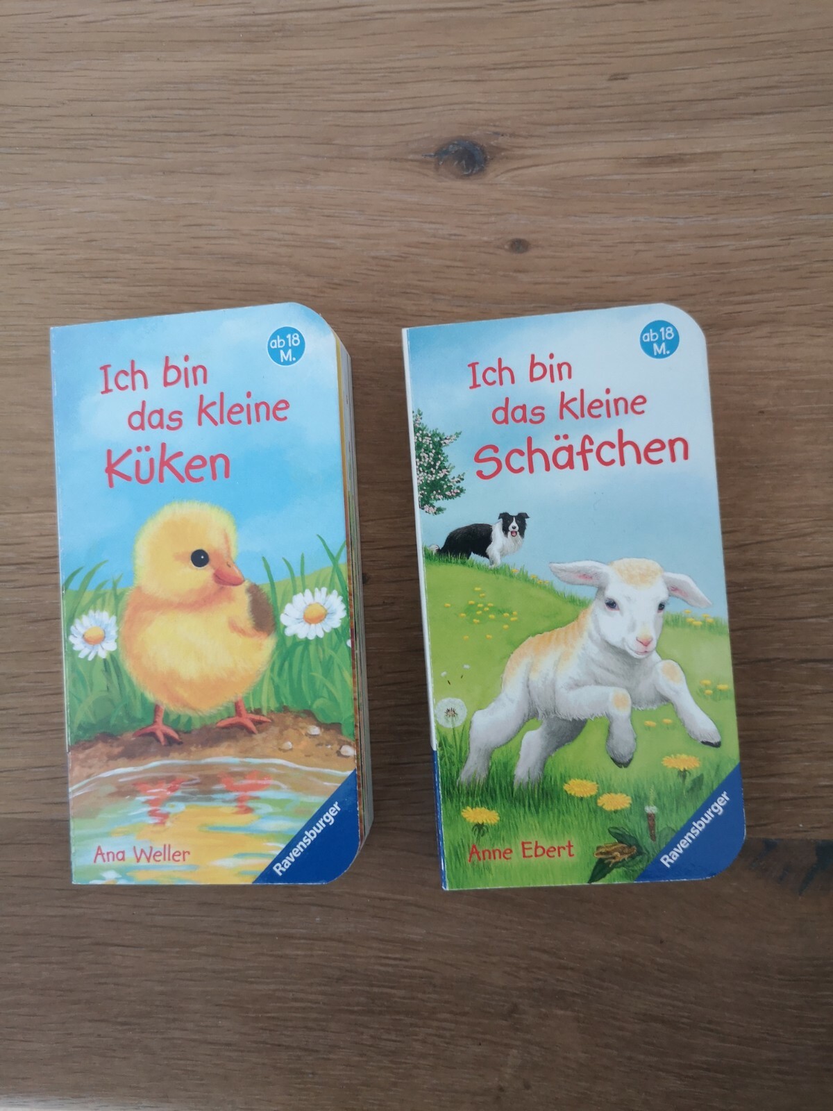 9783473685608 Ich bin der kleine Hund Meine erste Vorlesegeschichte