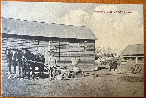 RPPC Farm Scene - Shelling & Grinding Corn, Corn Crib, 3 Horses, Corn Sheller