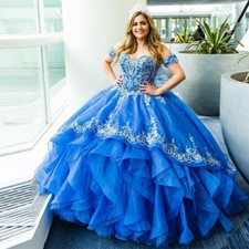 Blue Quinceanera Dresses Ball Gown Ruffles Applique Birthday Party Sweet16 Dress