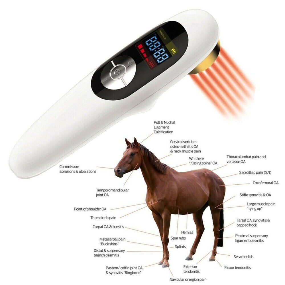880MW LLLT LASERTHERAPIE zur Schmerzlinderung Entzündungshemmung 650nm