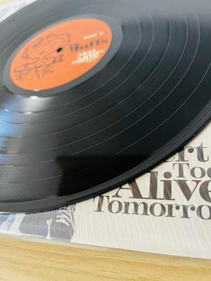 The Muffs / Alert Today Alive Tomorrow 1999 US Original LP Honest