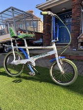 eBay Auction Picture
