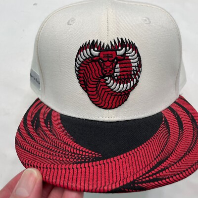 Chicago Bulls   BMO Harris   Snapback Hat Cap   Artist Series Chuck Anderson