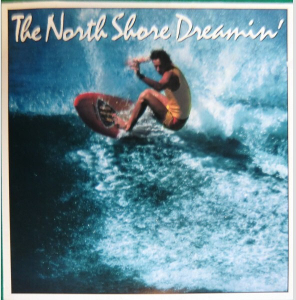 Various - The North Shore Dreamin / VG / LP, Album, RE | eBay