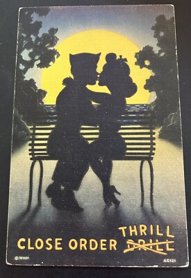 Close Order Thrill Postcard