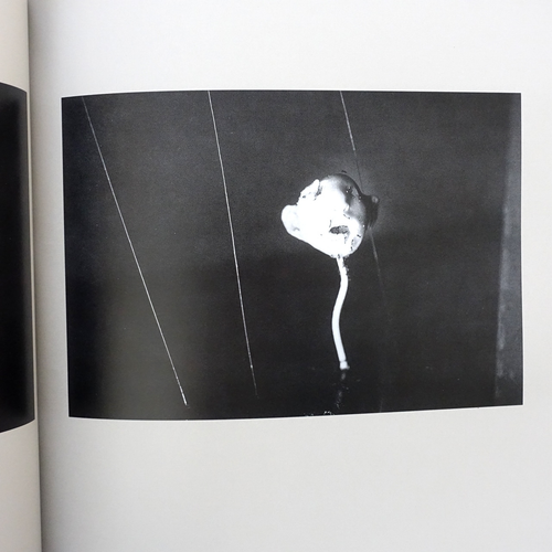 David Lynch Coleccion Imagen Paintings Photographs - Picture 2 of 10