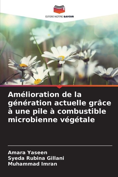 AméLioration De La GéNéRation Actuelle GrâCe à Une Pile à Combustible...-image