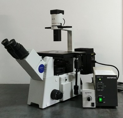 Olympus Microscope IX51 with Fluorescence and Phase Contrast