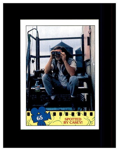 1990 TOPPS TEENAGE MUTANT NINJA TURTLES TMNT YOU PICK CARDS, STICKERS & PUZZLE - Picture 129 of 290