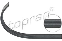 Topran Keilrippenriemen U.A. FüR Alfa Romeo, Fiat, Ford, Lancia, Opel