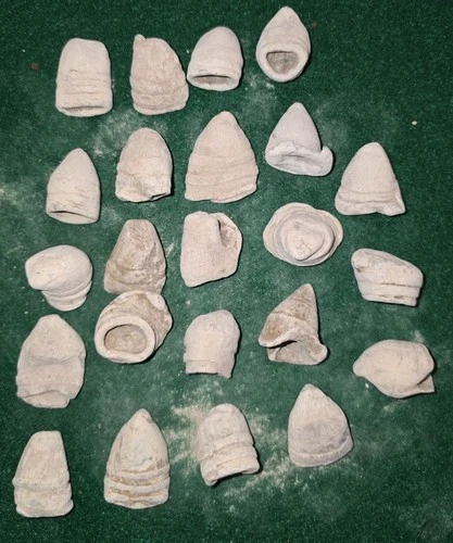 Lot Of 23 Confederate .69 Caliber Carcano Bullets - Fired - Battle New Bern NC