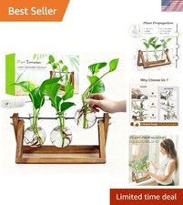 Chic Wooden Glass Propagation Station - 3 Bulb Vases for Stylish Home and Gifts